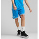 Kurzer Korb Puma Hoops Team "Blau"