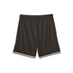 Kurzer Korb Puma Hoops Team "Schwarz"