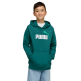 Puma ESS 2 COLOR Logo Hoodie "Emerald Ice"